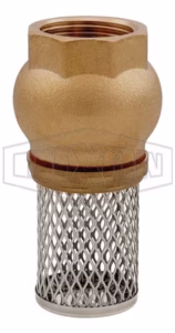 Brass Foot Valve BSP