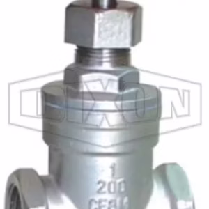 Stainless Steel Gate Valve BSP
